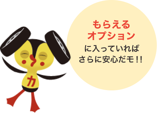 もらえるオプションとは？
