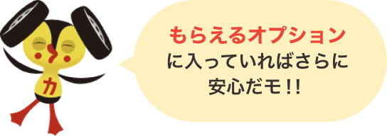 もらえるオプションとは？